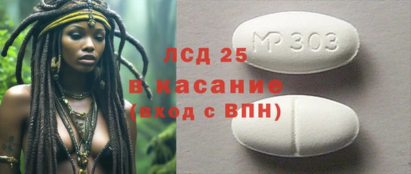 стаф Горняк