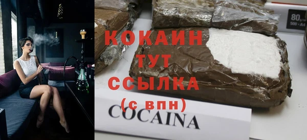 стаф Горняк