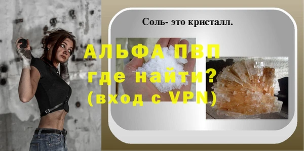 стаф Горняк