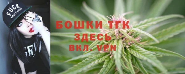 стаф Горняк