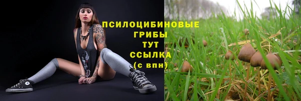 прущие крисы Горно-Алтайск