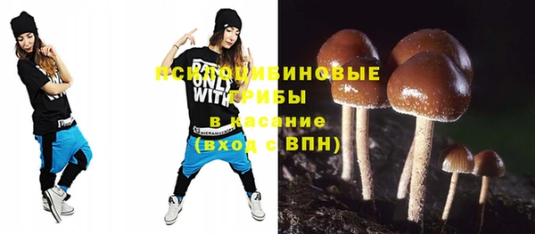 первитин Горнозаводск