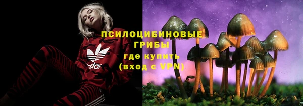 первитин Горнозаводск
