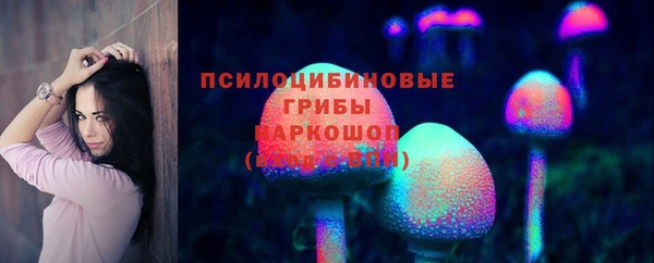 стаф Горняк