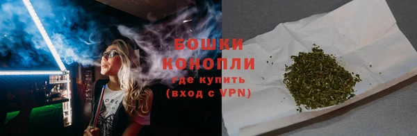 стаф Горняк