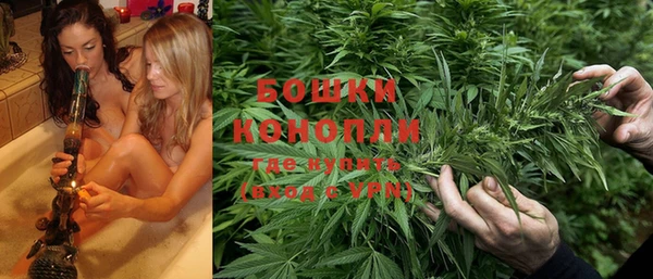 стаф Горняк