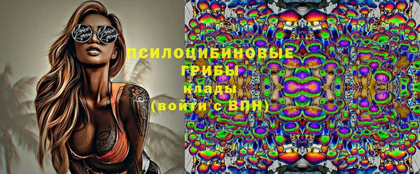 стаф Горняк