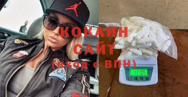 стаф Горняк